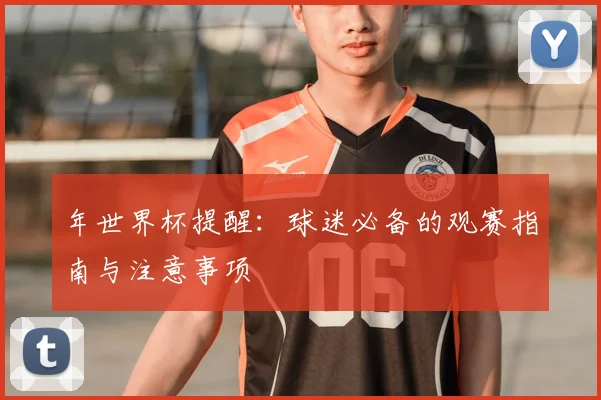 年世界杯提醒：球迷必备的观赛指南与注意事项