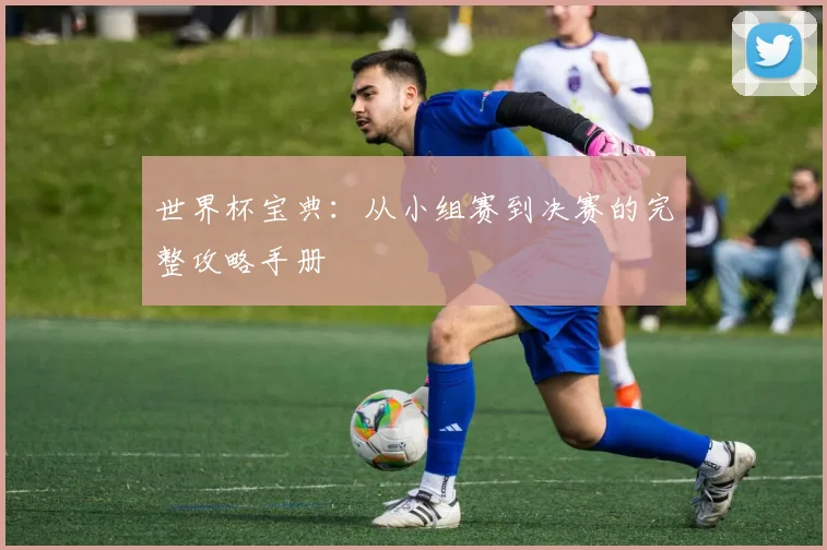世界杯宝典:从小组赛到决赛的完整攻略手册