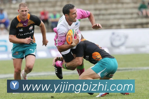 多媒体互动体验