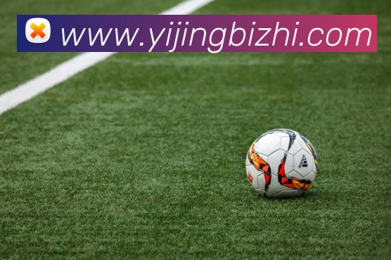 新半岛官网APP 高清赛事图